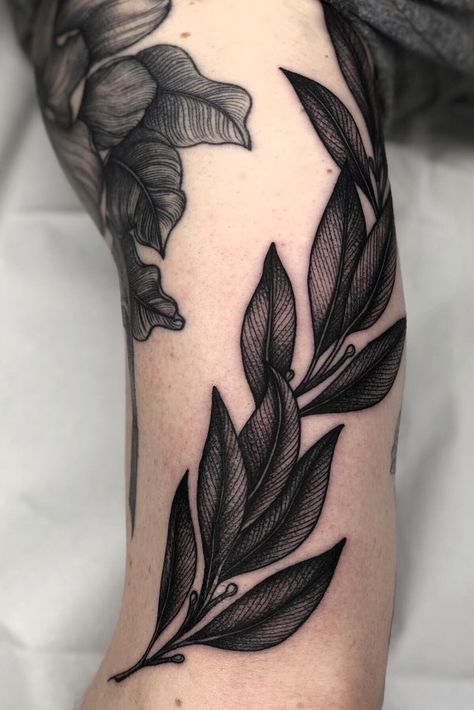 Tatuaje Cover Up, Cover Up Tattoos For Women, Carpe Koi, Up Tattoos, Black Ink Tattoos, Cover Up Tattoos, Design Tattoo, Beauty Tattoos, Pretty Tattoos