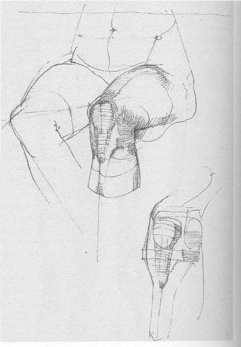 Drawing Legs, Human Anatomy Drawing, Human Figure Drawing, Human Anatomy Art, Anatomy Sketches, Drawing Studies, Anatomy For Artists, Anatomy Drawing, Art Instructions