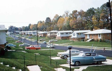 The suburbs 1950s 1950s Suburbia Aesthetic, 50s Suburbia Aesthetic, Suburb Aesthetic, Suburbia Aesthetic, 1950s Suburbia, Suburban Street, 1950s Cars, 50s Aesthetic, Green Pasture