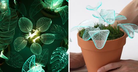 I made these evergreen glowing plants. The Botany world has always amazed me as an Industrial designer, each plant has its own unique aesthetics, these aesthetics serve a specific need or function. In making the Lamp Plant I decided to focus on the various types of leafs and their 'veins', the veins are cells that bring water and minerals from the roots into the leaf. Glowing Plants, Lamp Plant, Fairy Aesthetic, Evergreen Plants, Night Garden, Plant Aesthetic, Plant Painting, Unique Plants, Landscape Decor