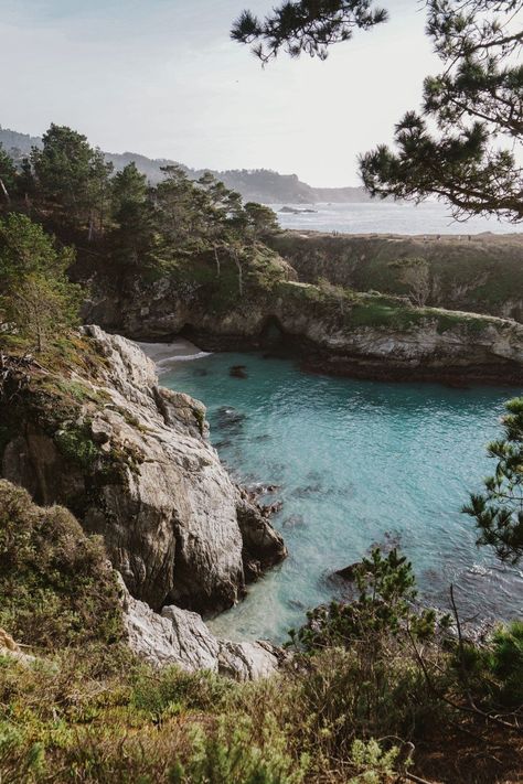 Carmel Beach California, California Honeymoon, Jessica Wright, Carmel Beach, Carmel California, Carmel Ca, Places In California, Dream Beach Houses, Sea Photography