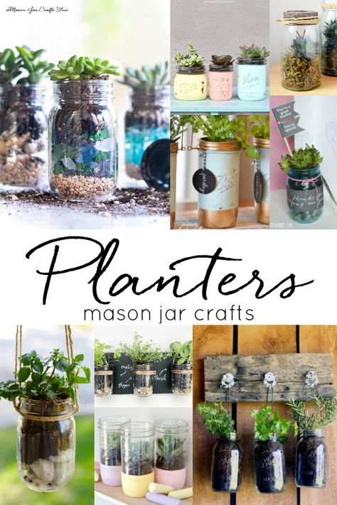 Mason Jar Planters - How To Make Mason Jar Planters - Succulents in Mason Jars - Herbs in Mason Jars Mason Jar Bathroom Storage, Mason Jar Plants, Mason Jar Succulents, Mason Jar Terrarium, Herb Garden Wall, Mason Jar Herbs, Mason Jar Planter, Pink Mason Jars, Crafts Love