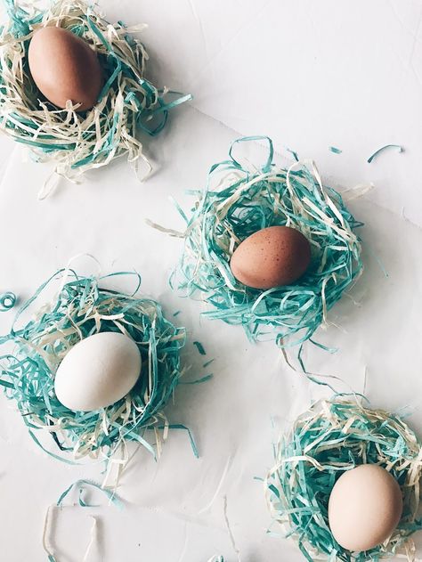 DIY Baby Birds Nest from Easter Basket Shavings Pastel Color Party, Unicorn Party Hats, Diy Unicorn Party, Spring Easter Eggs, Bird Nests, Baby Birds, Easter Egg Dye, Blogger Inspiration, Easter Basket Diy