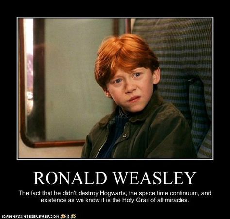 Red hair, broken wand, and a handmedown robe..? You must be a Weasley..." Ginger Meme, Redhead Memes, Ginger Jokes, Phoenix Harry Potter, Daily Humor, Ronald Weasley, Harry Potter Memes Hilarious, Harry Potter Jokes, Birthday Meme