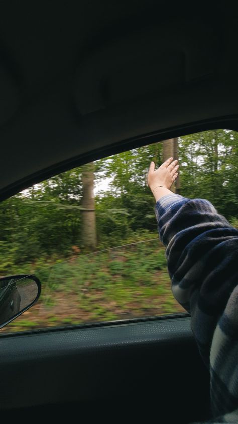 Car forest autumn fall Forest Drive Aesthetic, Adam Core, Siberian Forest, Calming Pictures, Passenger Princess, Maid Marian, Noah Kahan, Tunnel Vision, Forest Trail