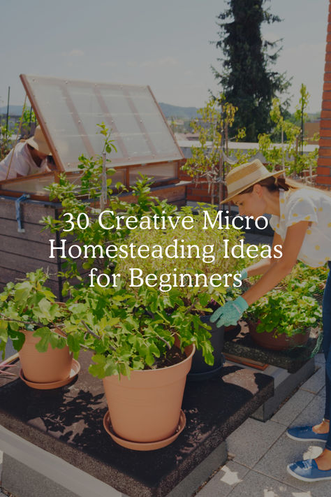 30 Creative Micro Homesteading Ideas for Beginners Cottagecore Life, Sustainable Homestead, Micro Garden, Micro Farm, Environmentally Friendly Living, Victorian House Plans, Modern Homesteading, Medicinal Herbs Garden, Homesteading Ideas