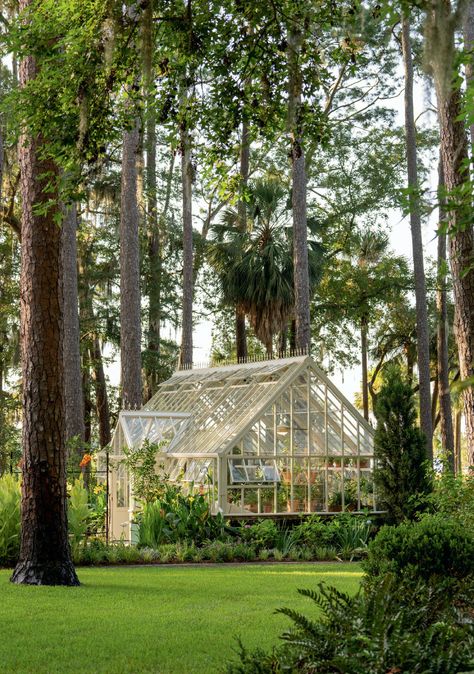 Greenhouse Surrounded By Garden, Big House Garden, White Greenhouse Aesthetic, Beautiful Green Houses, English Garden Greenhouse, Barndominium With Greenhouse, Fancy Greenhouse, Mansion Greenhouse, Large Green House