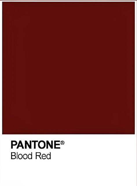 Monica Aesthetic, Pantone Red, Blood Red Color, Cat 2, Blood Red, Red Aesthetic, Color Swatches, Pantone Color, Color Combination