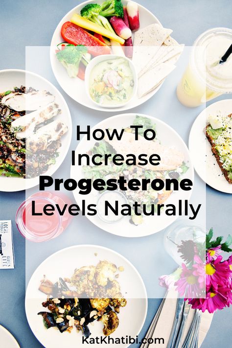 Progesterone Foods Increase, Progesterone Increasing Foods, Progesterone Deficiency Diet, Progesterone Building Foods, How To Get More Progesterone, Foods With Progesterone, Progesterone Deficiency Remedies, How To Improve Progesterone Levels, Meals To Increase Progesterone