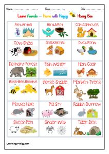 Animals and their Home |Habitat Chart for Preschoolers | LearningProdigy | Charts | Where Do Animals Live Worksheet, Animals House Preschool, Kindergarten Syllabus, Animals And Their Homes, Animal Homes, Animal Pictures For Kids, Animals Name In English, Animal Habitat, Animal Worksheets