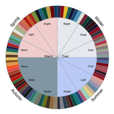 When choosing clothes, sticking to a palette within a wedge will ensure that your colors complement each other! Clothes Colour Pallete, Cloth Color Palette, Color Palette Dress Colour Schemes, Cloths Color Palette, Clothes For Cool Undertones, How To Mix Colors Clothes, Colors That Complement Each Other, Color Wheel Clothes, Color Style Guide