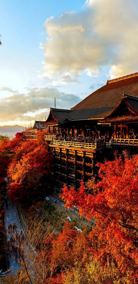 Kiyomizu temple in Kyoto in Autumn leaves season. Kiyomizu-dera Temple, Kiyomizu Dera, Hanoi Vietnam, Tulum Mexico, Japanese Architecture, Visit Japan, Kyoto Japan, Okinawa, Japanese Garden