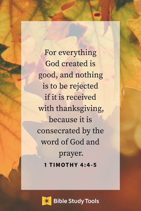 <p>For everything God created is good, and nothing is to be rejected if it is received with thanksgiving, because it is consecrated by the word of God and prayer. – 1 Timothy 4:4-5</p> Thanksgiving In The Bible, Words From Bible, Psalm 118 1, Psalm 43, Bible Sayings, John 10, In His Image, Daily Verse, Father Son Holy Spirit