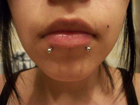 Alison....Ermahgerd - Snerk Berts! Snake Bites Lip Piercing, Snakebite Piercing, Snake Bites Piercing, Snake Bite Piercing, Bridge Piercing, Snake Bite, Snakebites, Piercing Inspo, Face Piercings