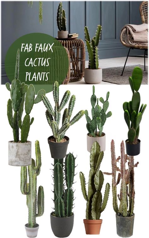 Faux Cactus Plants, Fake Cactus Decor, Plants Mood Board, Cactus Interior Design, Tall Cactus Plants, Fake Cactus Plants, Fake Cactus, Organ Pipe Cactus, Flat Kitchen