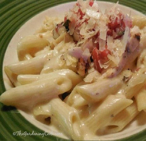 Applebee's copy cat recipe - 3 cheese chicken penne pasta with Alfredo sauce 3 Cheese Chicken Penne, Olive Garden Alfredo Sauce Recipe Easy, Chicken Penne Alfredo, Alfredo Sauce Recipe Without Heavy Cream, Olive Garden Alfredo Sauce Recipe, Alfredo Sauce Easy, Chicken Penne Pasta, Copy Cat Recipe, Alfredo Sauce Recipe Easy