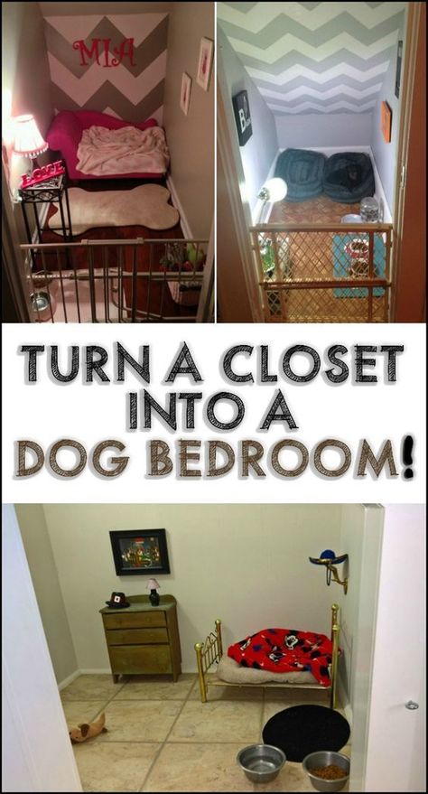 Pets are family! So if you have some space for it, then they definitely should have their own bedroom too ;) Check out some inspiration we have for you on our site... Closet For Dogs Ideas, Dog Area In Closet, Dog Rooms In House Small Spaces, Closet To Dog Room, Dog Room Closet Ideas, Dog Room Closet, Closet Dog Room, Dog Closet Room, Puppy Bedroom Ideas