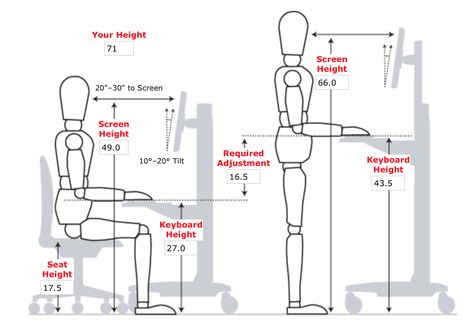 Measurements for ergonomic desk setup. Standard Desk Height, Diy Standing Desk, Standing Desk Height, Standing Desk Ergonomics, Studio Office, Work Space Organization, Ergonomic Desk, Desk Height, Stand Up Desk