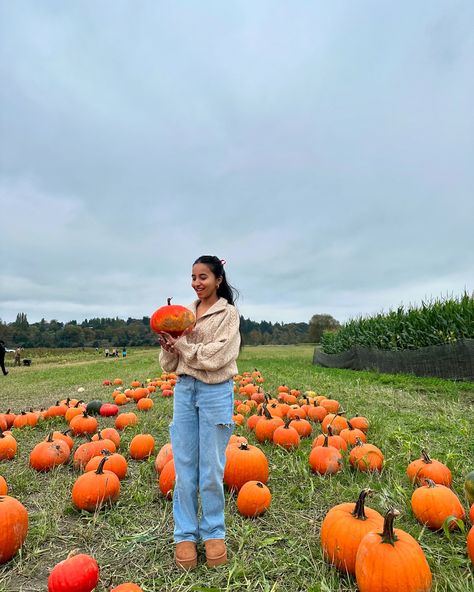 pumpkin patching & apple picking outfit inspo 🍂🎃🍎 fall outfit inspo, fall aesthetic, fall activities, fall ootd, pinterest fall, pinterest outfits, pinterest style, outfit inspo, autumn outfits, fall fashion, cozy outfits, sweaters, ugg shoes #falloutfitinspo #fallfashiontrends #falloutfitideas #fallfashion2024 #pumpkinpatchoutfit #applepicking #fallaesthetic #sweaterseason Fall Pinterest, Apple Picking Outfit, Ootd Pinterest, Fall Ootd, Pumpkin Patch Outfit, Cozy Outfits, Pinterest Style, Ootd Fall, Sweater Season