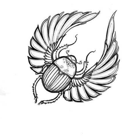 Egyptian Beetle Tattoo Design, Scarab Beetle Tattoo, Cleopatra Tattoo, Scarab Tattoo, Canadian Tattoo, Egyptian Beetle, Beetle Illustration, Egyptian Drawings, Beetle Tattoo