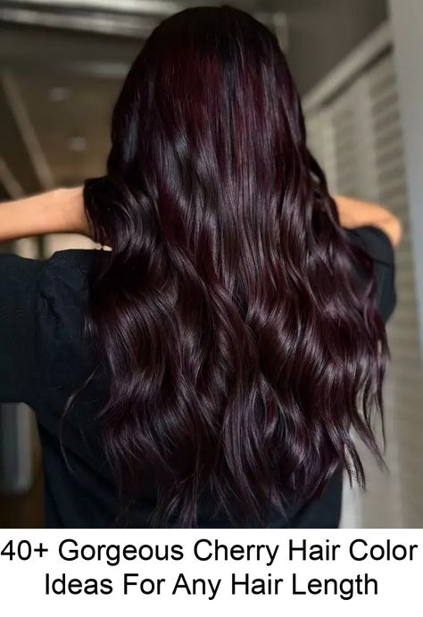 One of our favorite hair colors that has range, oomph, and energy is cherry hair color. Dark Brown Hair With Cherry Cola Highlights, Red Black Hair Color, Burgundy Hair Curly, Cherry Black Hair, Black Hairstyle Ideas, Pelo Color Borgoña, Cherry Cola Hair Color, Black Cherry Hair Color, Black Cherry Hair