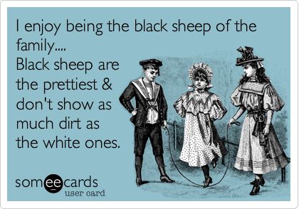 I enjoy being the black sheep of the family.... Black sheep are the prettiest & don't show as much dirt as the white ones. Black Sheep Of The Family, Middle Child, E Card, Ecards Funny, Someecards, Child Day, Mom Humor, Bones Funny, Way Of Life