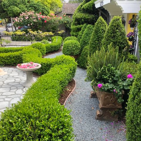 Shared Yard With Neighbor, Nature Hd, Curb Appeal, Landscaping, A Photo, The Neighbourhood, Yard, Kerb Appeal, Nature