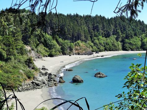 Northern California Beaches, Humboldt County California, Forest Hike, Enchanting Forest, Humboldt County, What To Do Today, To Do Today, Secret Beach, Tide Pools