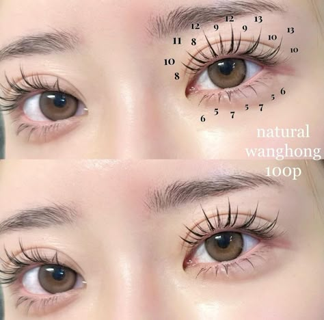 Lash Extension Map, Lashes Map, Korean Eyelash, Anime Lashes, Foxy Eyes, Lash Looks, Cute Lashes, Manga Lashes, Lash Map