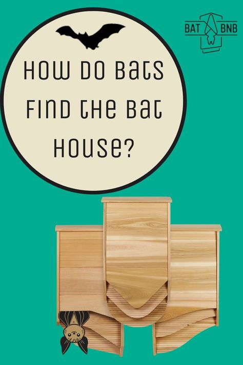 Bat House Diy, How To Attract Bats, Attract Bats, Bat Habitat, Build A Bat House, Bat House Plans, Backyard Birds Feeders, Bat Box, Homemade Tractor