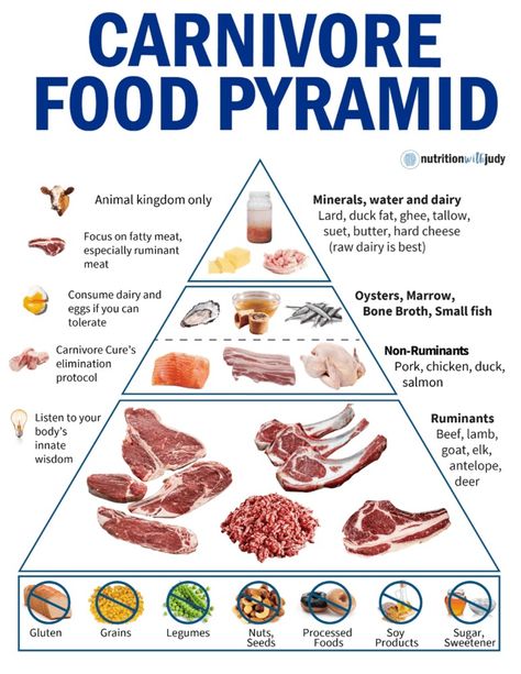 The Nutritionist’s Guide to the Carnivore Diet: A Beginner's Guide - Nutrition With Judy Caveman Diet Recipes, The Carnivore Diet, Caveman Diet, Skin Diet, Meat Diet, Carnivore Diet, Food Pyramid, Fatty Fish, Diet Food List