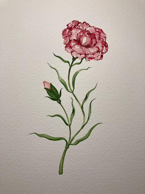 Watercolour Carnation, Carnation Painting, Carnation Watercolor, Watercolor Carnation, Carnation Drawing, Watercolour Tutorial, January Birth Flowers, Easy Flower Drawings, Flower Drawings