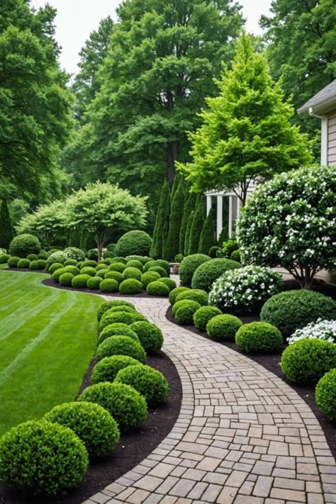 Boxwood Garden Border, Front Yard Boxwood Landscaping, Boxwood Landscaping Front Yard, Beautiful Front Yards, Green Garden Ideas, Front Of House Landscaping, Boxwood Landscaping, Border Garden, Boxwood Garden