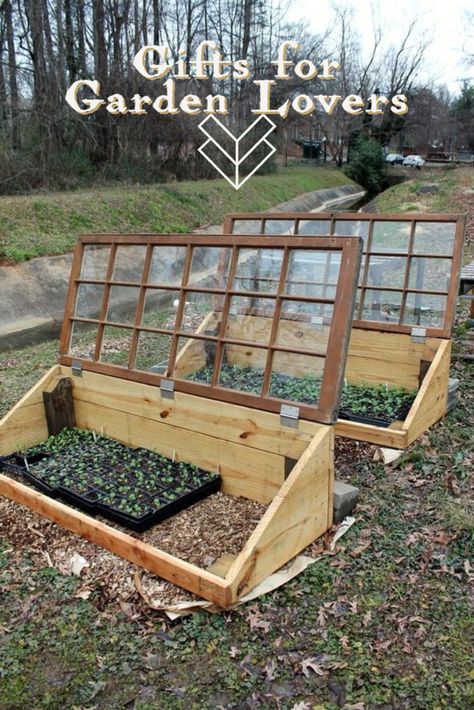 Vegetable Garden Design, Backyard Greenhouse, Plants Growing, Veg Garden, Garden Greenhouse, Home Vegetable Garden, Greenhouse Gardening, Garden Yard Ideas, Paper Towel Rolls