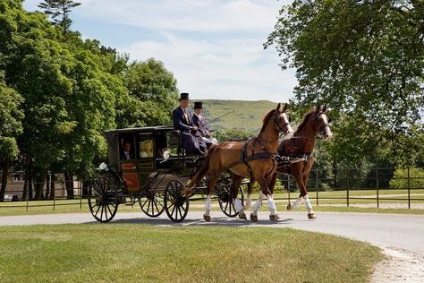 Lulworth Courtyard entrance Courtyard Entrance, Horse Wagon, Lulworth Cove, Walled Courtyard, Horse Cart, Beautiful Horses Photography, Horse And Buggy, Jurassic Coast, Horse Carriage