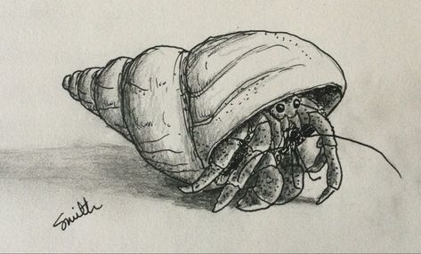 Hermit Crab Cartoon, How To Draw A Hermit Crab, Crab Pencil Drawing, Hermit Crab Doodle, Crab Sketch Drawings, Hermit Crab Sketch, Hermit Crab Drawing Simple, Hermit Crab Painting, Hermit Crab Tattoo Simple