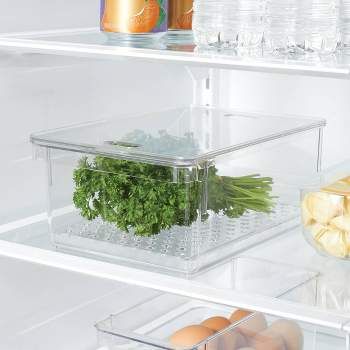 Produce Fridge, Clear Fridge, Food Packets, Produce Bin, Refrigerator Organizer, Fridge Organizer, Pantry Bin, Condiment Caddy, Freezer Organization