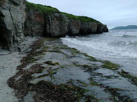 The rocky shore #sea #waves #shore #land #slope #grass #green #summer #cloudy #day #Bay #Rocky #shore #grass Rocky Sea Shore, Rocky Ocean Shore, Rocky Shoreline, Shore Aesthetic, Rocky Beach, Nature Tourism, Beach Art Painting, Ocean Shores, Rocky Shore