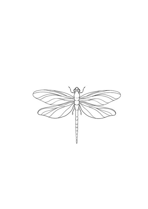 Dragonfly Tattoo Stencil, Dragonfly Stencil, Small Dragonfly Tattoo, Girl Shoulder Tattoos, Cuff Tattoo, Autumn Tattoo, Becoming A Tattoo Artist, Dragonfly Tattoo Design, Butterfly Stencil