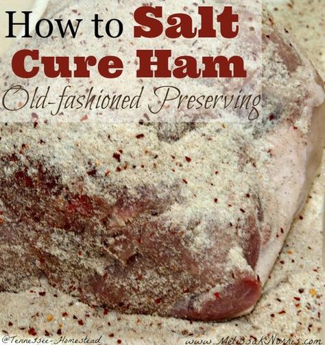 Curing Ham, Cured Meat Recipes, Prepper Food, Homemade Sausage, Dehydrated Food, God Mat, Processed Meat, Smoked Food Recipes, Survival Food