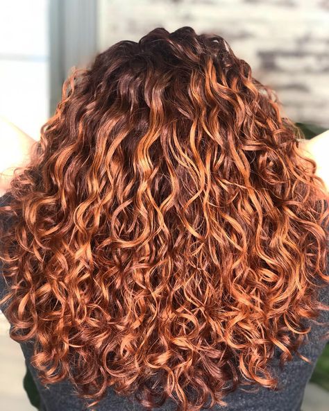 Curly Hair Fall Color Ideas, Curly Copper Hair Natural Curls, Copper Highlights On Brown Hair Curly, Natural Red Hair With Highlights, Coloring Curly Hair, Curly Copper Hair, Fall Balayage Hair, Copper Highlights On Brown Hair, Toned Balayage