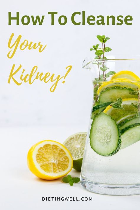 Kidney cleanses are a type of natural, diet-based therapy that can help remove toxins from the body and promote better kidney health. how to cleanse your kidneys naturally | how to cleanse your kidneys and liver | you need a kidney cleanse. here’s how to flush out toxins from your kidneys | kidney detox cleanse | kidney detox cleanse juice recipes | kidney detox cleanse tea | kidney detoxification | how to detox kidney | how to detox your kidney | Kidney Detox Cleanse Juice Recipes, Clean Kidneys, Kidney Detox Cleanse, Liver Cleanse Juice, Detox Tea Cleanse, Flush Out Toxins, Kidney Detox, Cleanse Your Liver, Detox Your Liver