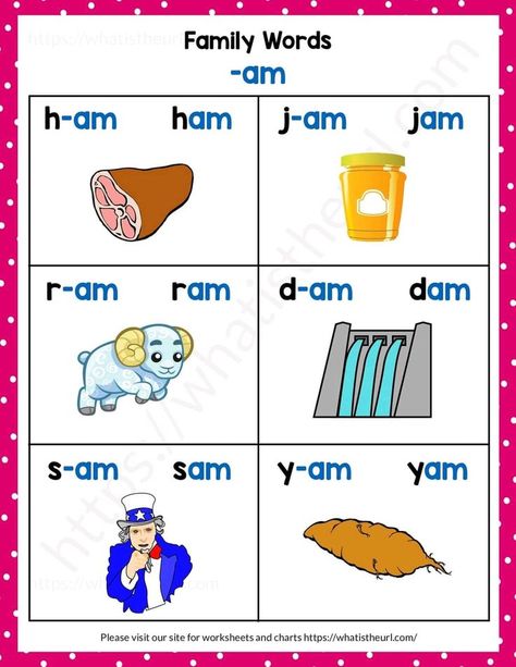 Teaching early readers about the 'am' word family. Words include ham, jam, ram, clam, swam, and slam Tally Marks Kindergarten, Family Words, Phonics Reading Passages, Phonics Worksheets Free, Word Family Activities, Phonics Flashcards, Word Family Worksheets, Kindergarten Reading Activities, Preschool Math Worksheets