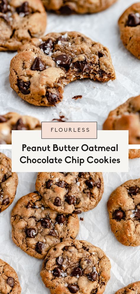 Thick, chewy peanut butter oatmeal chocolate chip cookies. Gluten free, flourless peanut butter cookies made with 7 simple ingredients! #flourless #cookies #peanutbuttercookies #glutenfreedessert #healthycookies #oatmealcookies #cookierecipe #healthydessert #healthybaking Oatmeal Cookies With Chocolate Chips, Healthy Peanut Butter Oatmeal, Healthy Peanut Butter Oatmeal Cookies, Chocolate Chip Cookies Gluten Free, Peanut Butter Oatmeal Chocolate Chip Cookies, Peanut Butter Oatmeal Chocolate Chip, Cookies With Chocolate Chips, Butter Oatmeal Cookies, Flourless Peanut Butter Cookies