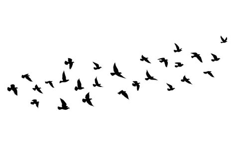 Bird Shadow, Tattoo Of Birds Flying, Bird Flying Tattoo, Birds In The Sky Drawing, Flying Bird Illustration, Noir Tattoo, Birds Silhouette Flying, Birds Flying In The Sky, Flying Bird Silhouette