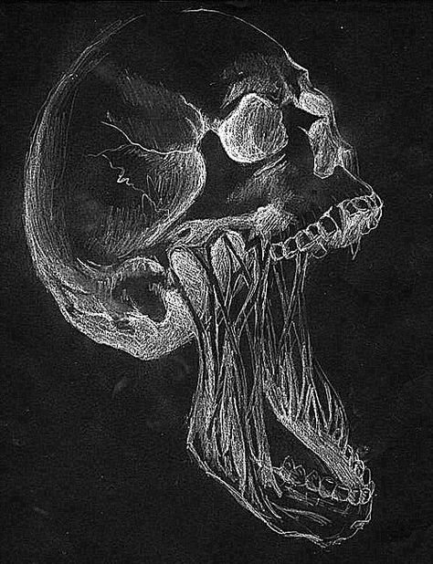 skull. Black, Art, White Drawing, Human Skull, Black And White, Human, White