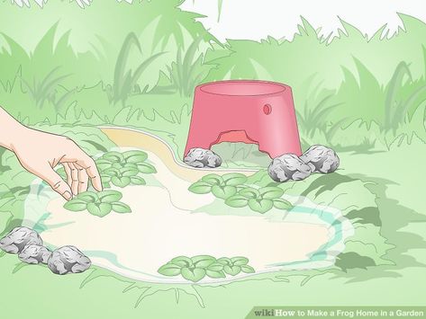 How to Make a Frog Home in a Garden: 12 Steps (with Pictures) How To Attract Bats, Attract Bats, Bat House Plans, House In The Garden, Frog Habitat, Bat Box, Toad House, Whites Tree Frog, Frog House