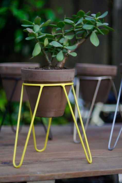 Modern in design and small in size, this yellow steel tripod plant stand is perfect for small plants and herbs. House Plant Decor, Vertikal Garden, Tattoo Plant, Iron Plant Stand, Support Pour Plante, Wrought Iron Decor, Plant Stands Outdoor, Modern Plant Stand, Garden Stand