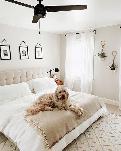 Jaime Carney on Instagram: “My boy knows good bedding. #ad we are all loving our @brooklinen bedding SO much, it’s beautiful and amaaazing quality. Use code Jaime20 to…” Brooklinen Bedding, Bedroom Paint Colors, Bedroom Paint, My Boy, Luxury Linen, Paint Color, Love Is All, Chaise Lounge, Decor Inspiration