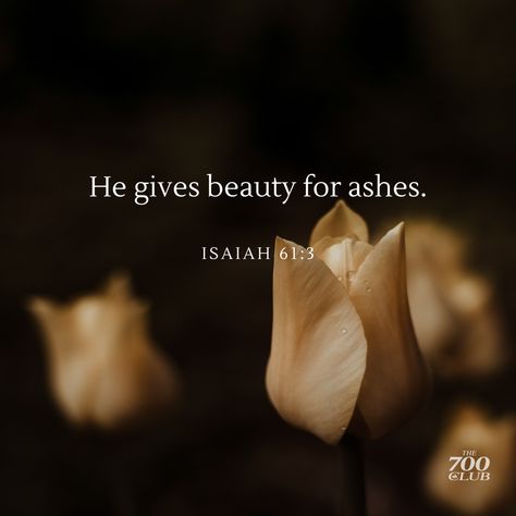 Beauty From Ashes Scripture, Bible Quotes About Beauty, Beauty For Ashes Scripture, Beauty From Ashes, Beauty For Ashes, Floral Bible Verse, Quotes Beauty, Isaiah 61, Vision Board Photos